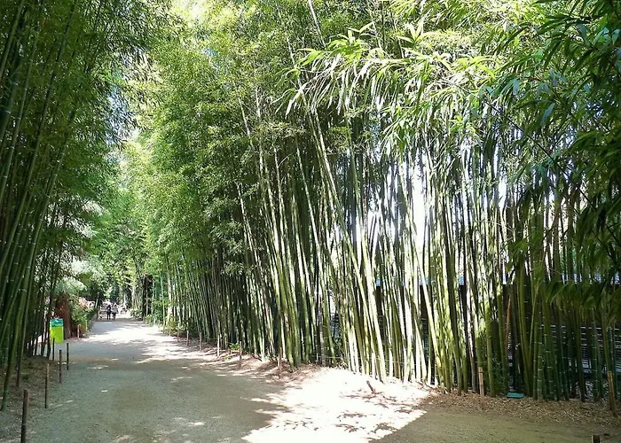 Leschenesverts * Cendras